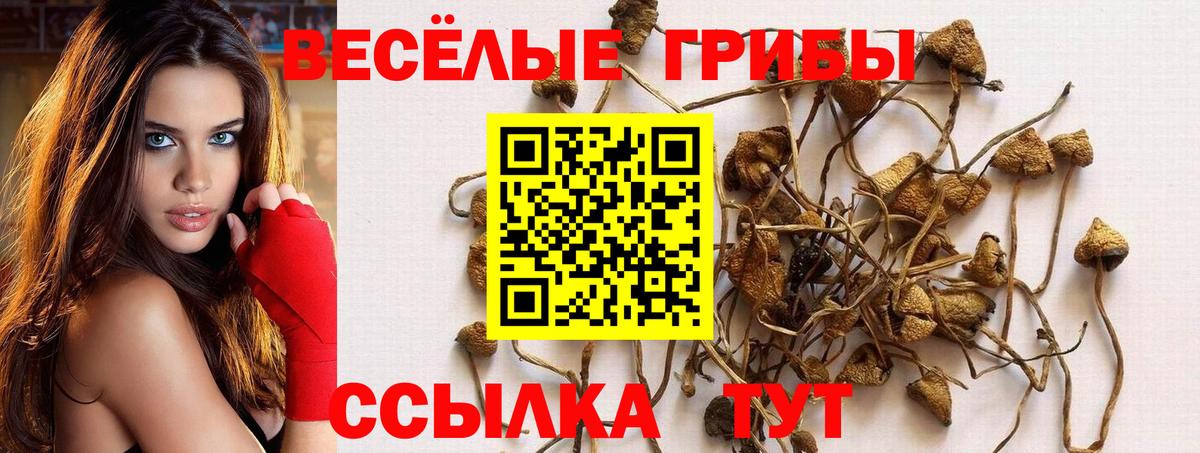 Галлюциногенные грибы Magic Shrooms Таганрог