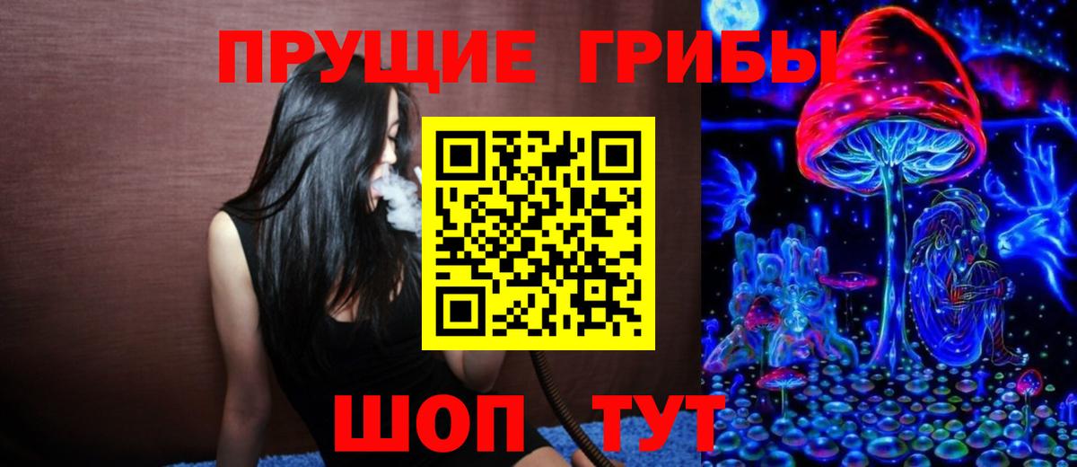 Псилоцибиновые грибы MAGIC MUSHROOMS  Галлюциногенные грибы GOLDEN TEACHER  Таганрог  Вход с VPN 